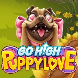 game logo by RubyPlay on priced-upcasino.co.uk